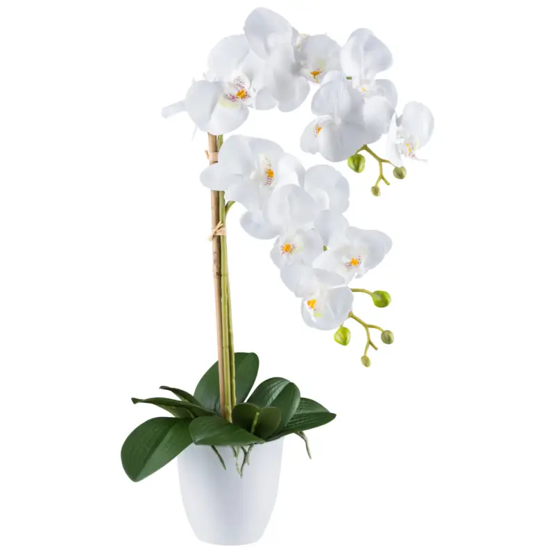 Letzte Chance Kunstpflanze Phalaenopsis, weiß, Höhe ca. 56 cm