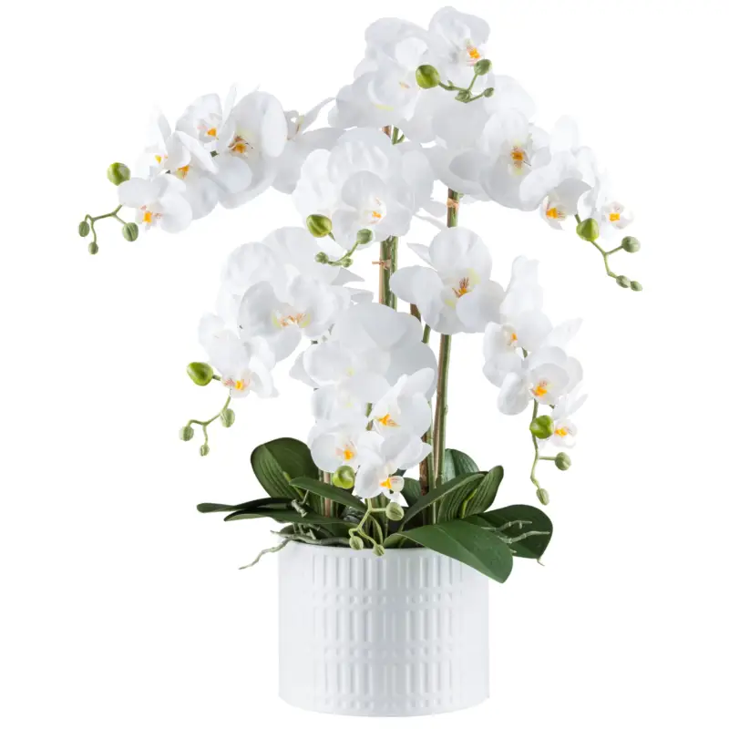 Finale Aktion Kunstpflanze Phalaenopsis, weiß, Höhe ca. 60 cm
