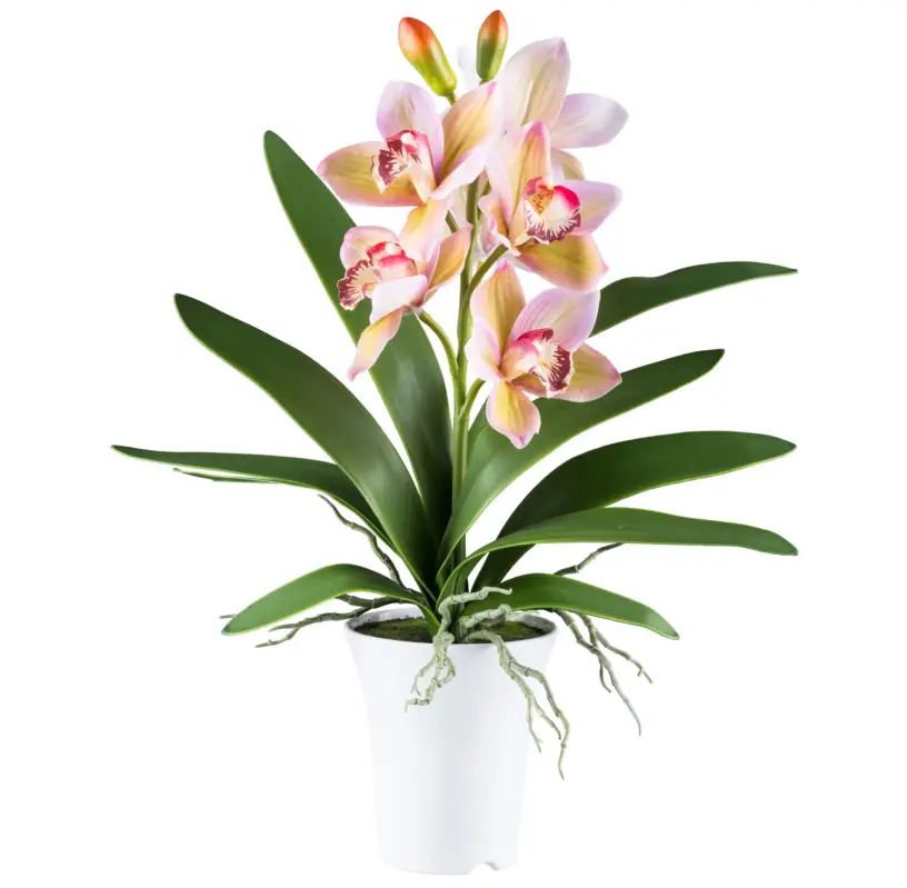 Sale Kunstpflanze Cymbidium, grünrosa, Höhe ca. 53 cm