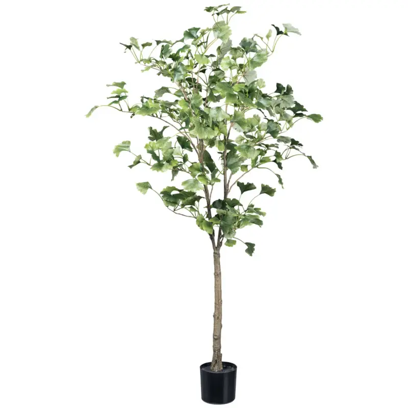 Beliebt Künstlicher Ginkgobaum, Höhe ca. 120 cm
