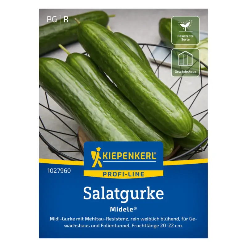 Direkt Vom Hersteller Kiepenkerl Saatgut Salatgurke 'Midele®'