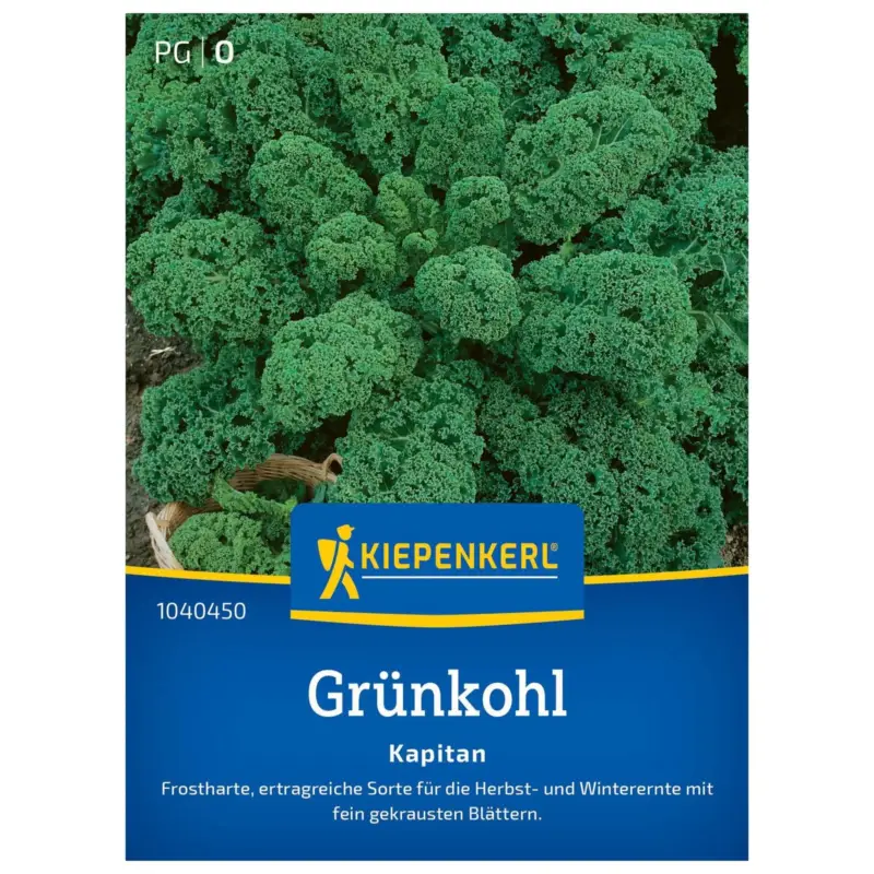 Sichere Zahlung Kiepenkerl Saatgut Grünkohl 'Kapitan®', grün