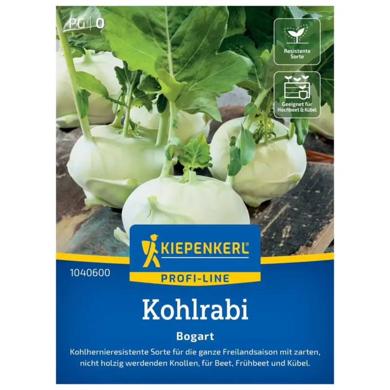 Kiepenkerl Saatgut Kohlrabi 'Bogart®', weiß Mega-Angebot