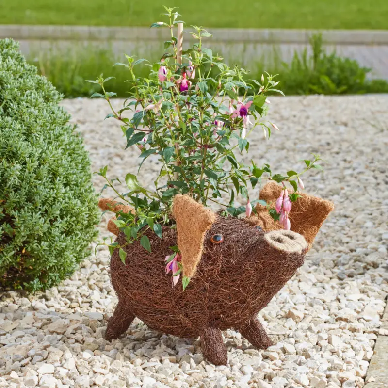Smartgarden Rattankübel 'Schwein', Höhe ca. 28 cm Sofort Bestellen