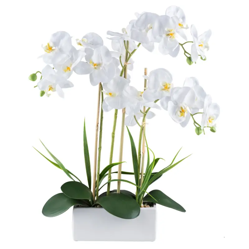 Neu Im Sortiment Künstlicher Phalaenopsis 'Real Touch', weiß, Höhe ca. 58 cm