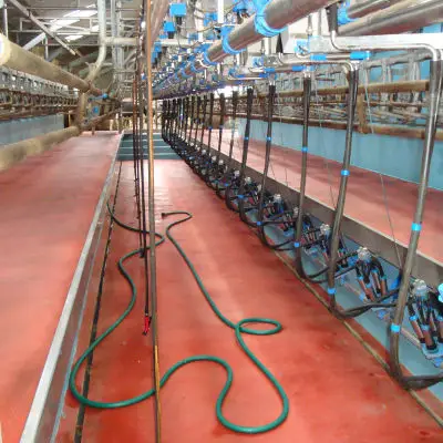 Parlour Top rot 25Kg Betonversiegelung Nur Heute