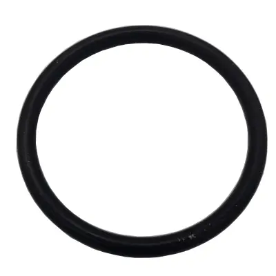 Lister Tankreinigung O Ring für Einspülbecher Mega-Angebot