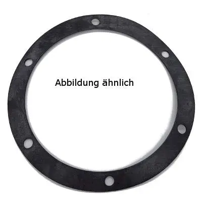 PUMPENDICHTUNG Müller Spülpumpe Top-Preis