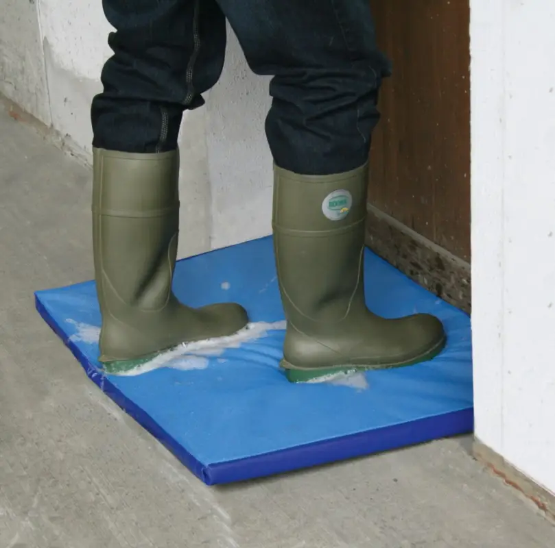 Expressversand Desinfektionsmatte für Stallungen 80 x 60 x 3 cm – präventiver Schutz gegen Vogelgrippe und Keime