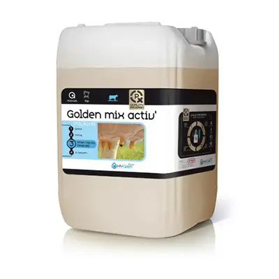 Dippmittel Golden Mix 2 K activ+base 2x22 Liter Kersia Deutschland GmbH Rabatt