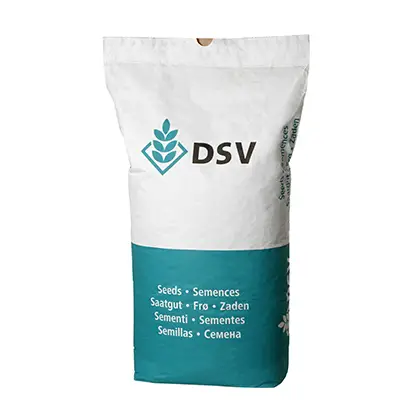 Sichere Zahlung RSM 2.3 Rasensamen 10 kg für 400 m² – Spielrasen & Gebrauchsrasen (DSV 230)