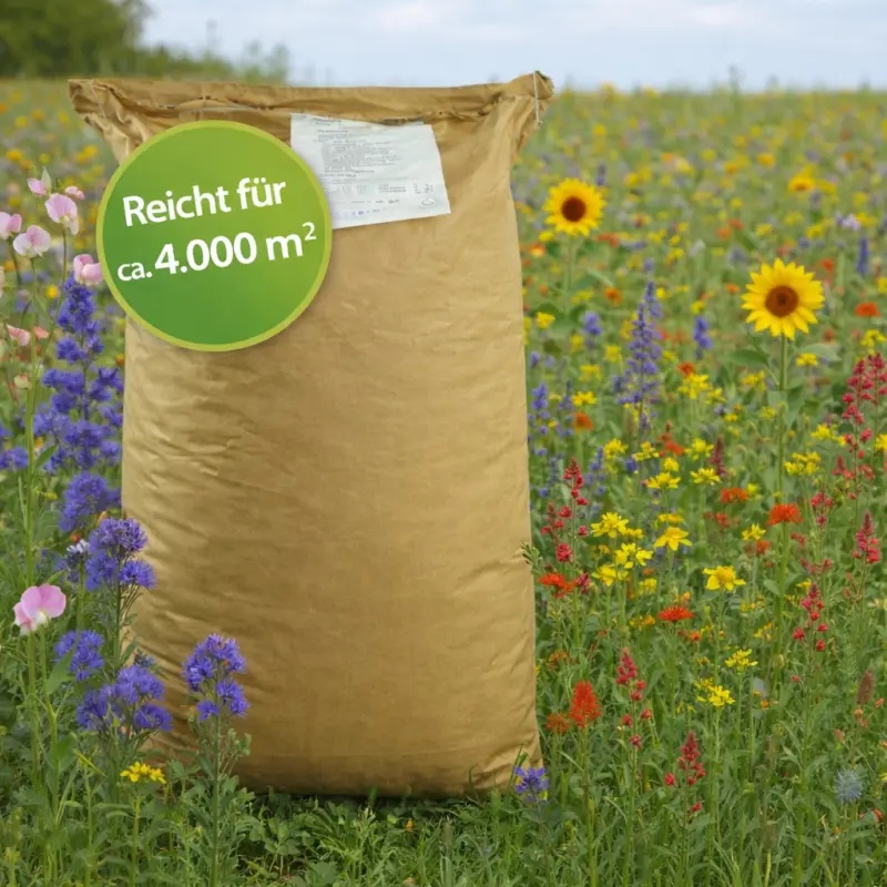 Billig Blühmischung für 4.000 m² – 10 kg – Lippstädter Blütenparadies (Profi-Flächenmischung)