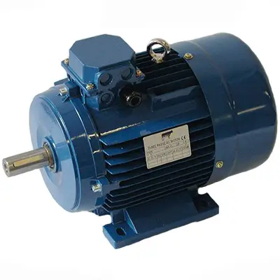 Beliebt 4 KW Elektro Motor Dairymaster Vakuumpumpe