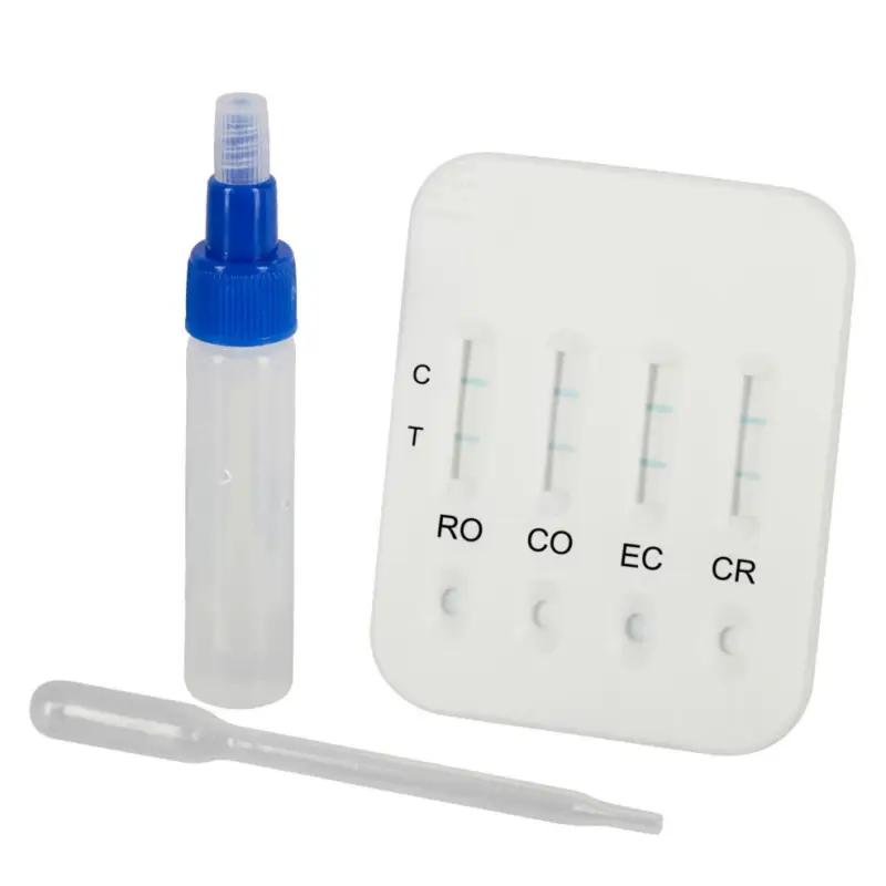 Sonderangebot Durchfalltest für Kälber – Kerbl 5er Pack | E. coli, Rota, Corona, Kryptosporidien