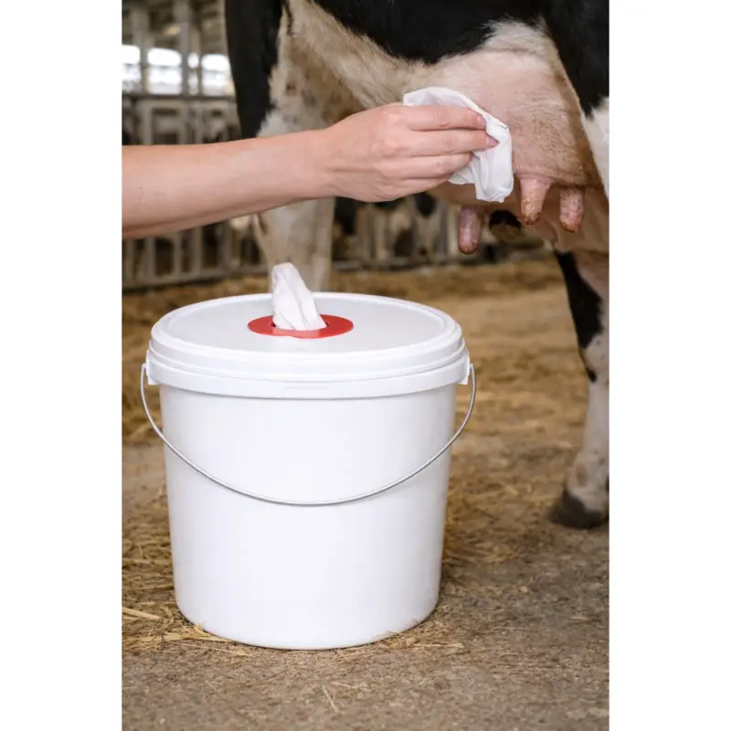 Schneller Versand Feuchttuch-Eimer JET P | 10,7 L | Eurocell