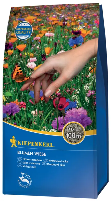 Blumen-Wiese 1 kg | Blühmischung | Kiepenkerl Mehrjährig Preiswert