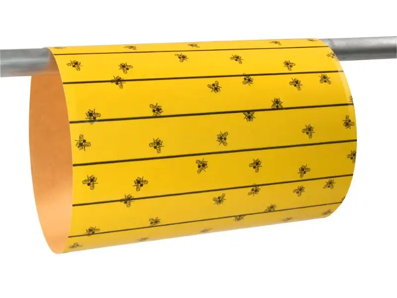 Schneller Versand cit Stallfliegenbogen FlyMaster | 6 Stück | Fliegenfalle 595 x 300 mm