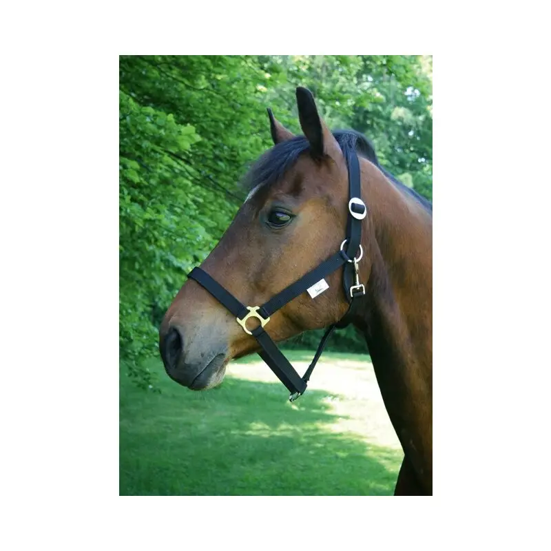 Garantierte Lieferung Perlonhalfter Gr. 1 für Pony -Made in Germany-