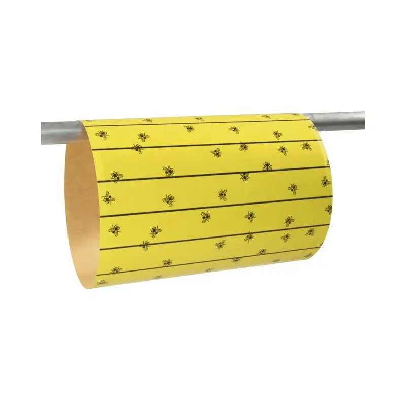 Begrenztes Angebot Fliegenbogen FlyMaster