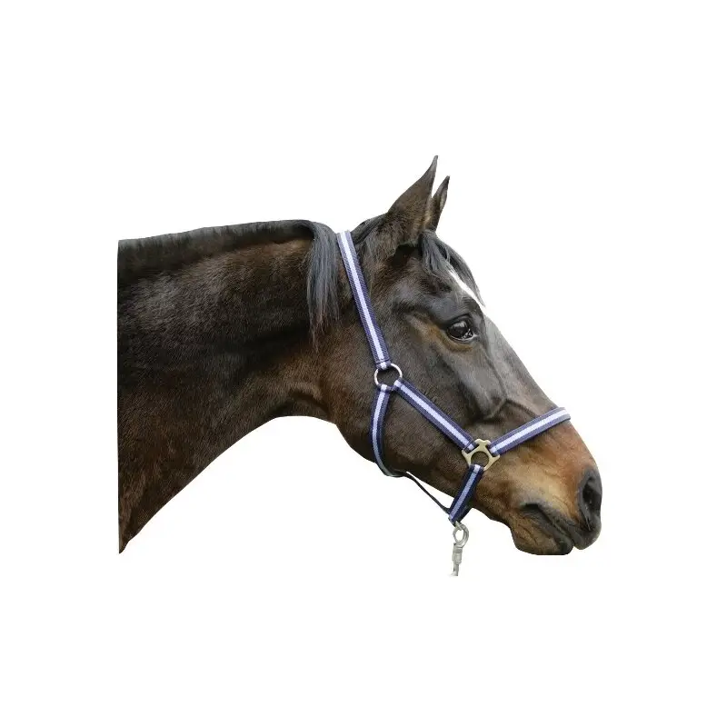 PerlonhalfterHIPPO Gr. 3 für Warmblut Top-Angebot