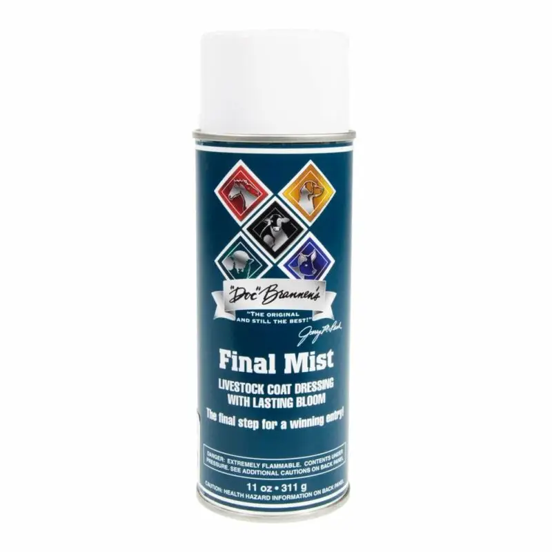 Rabatt Final Mist Spray