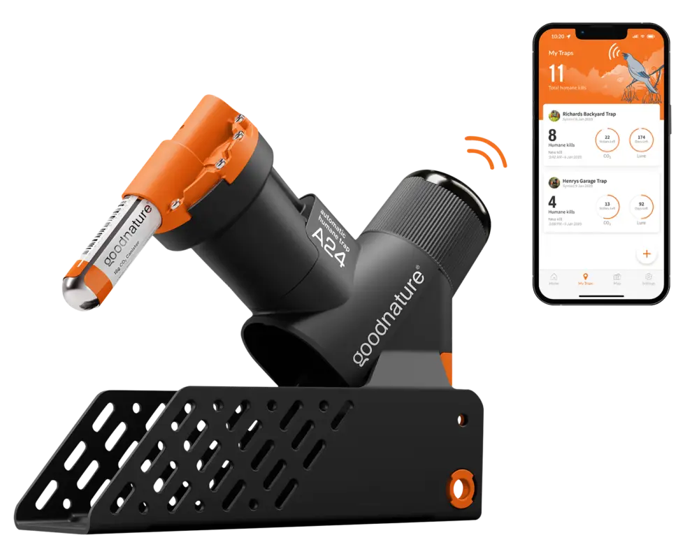Abverkauf Ratten- und Mausefalle A24 Smart-Kit