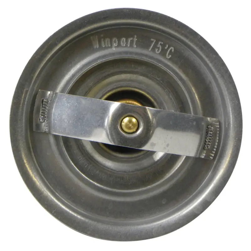 Thermostat zu MWM-Motor Neu