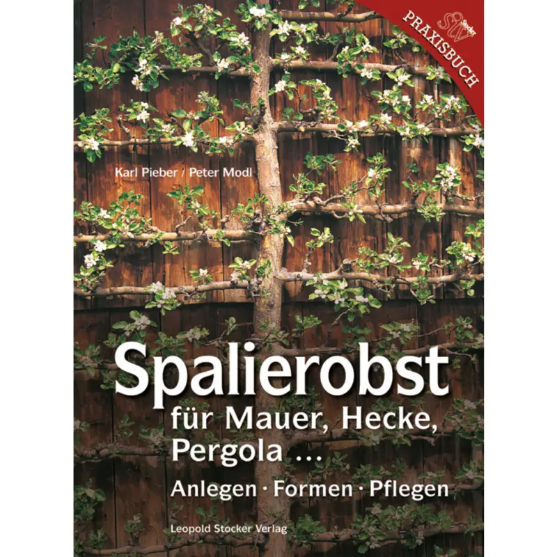 Spalierobst für Mauer, Hecke, Pergola Versand Am Gleichen Tag