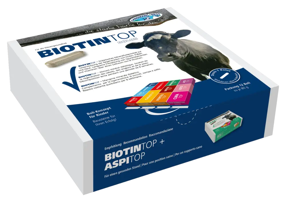 Sichere Zahlung Landmans-BestBiotintop Bolus - 12er Box