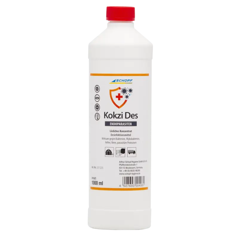 Kokzi Des * Schneller Versand