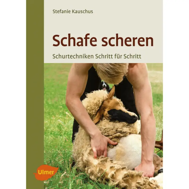 Schafe scheren Angebot