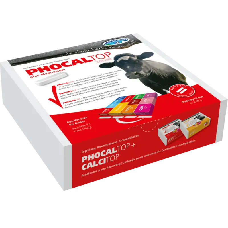 Landmans-BestPhocaltop Phosphor Bolus - 12er Box Neue Kollektion