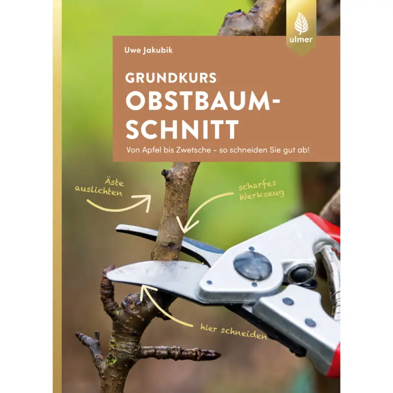 Direkt Vom Hersteller Grundkurs Obstbaumschnitt