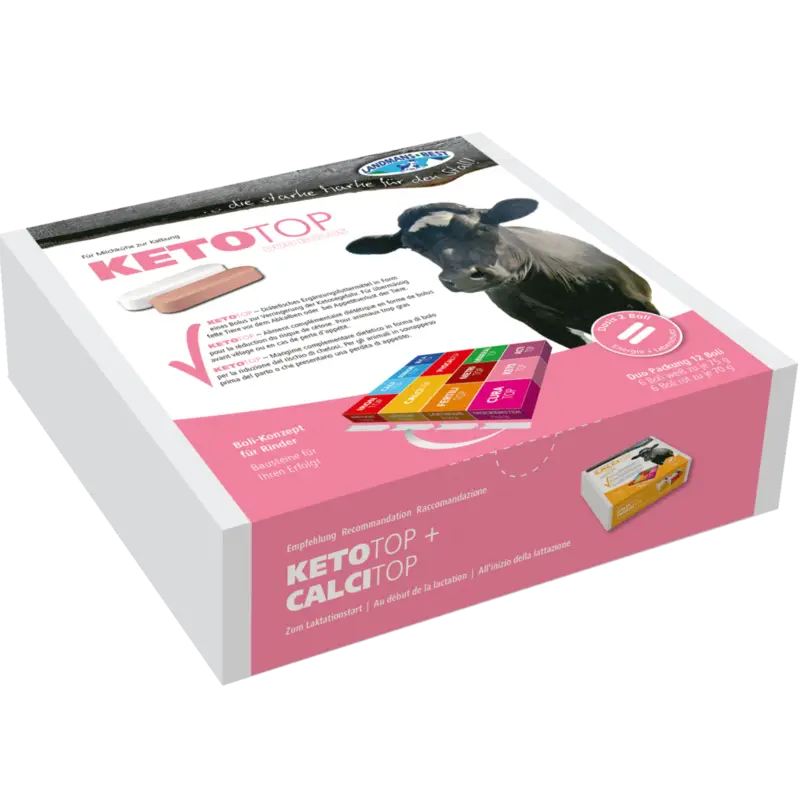 Landmans-BestKetotop Bolus – 12er Box Geprüft