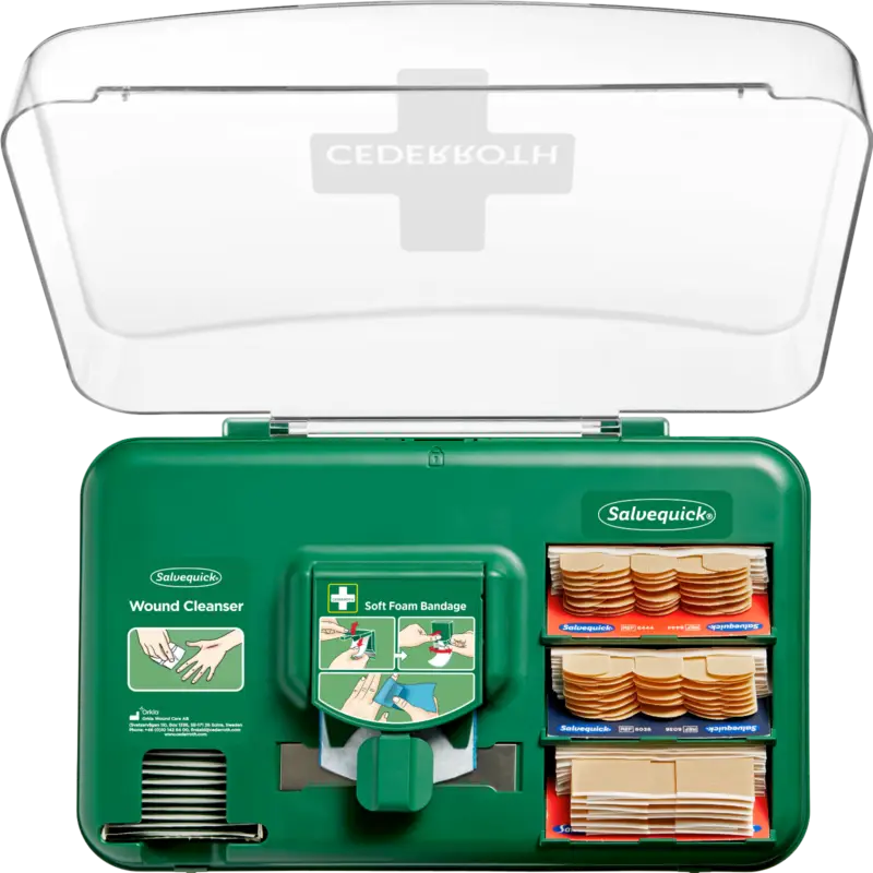 CEDERROTH Pflasterspender-Box Saisonangebot