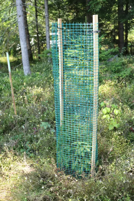 Geprüft Baumschutzgitter 500 für Tanne und Lärche 120cm