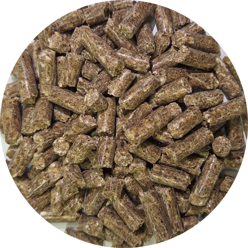 Pferdefutter Leader Junior 20 Kg Garantierte Lieferung