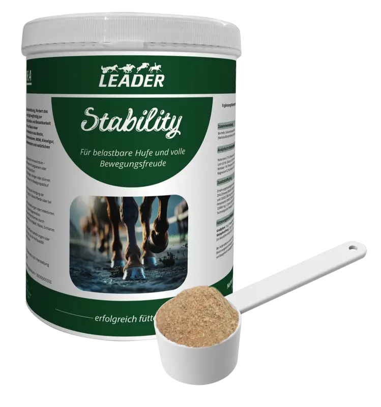 Preisreduziert Pferdefutter Leader Stability 1 Kg