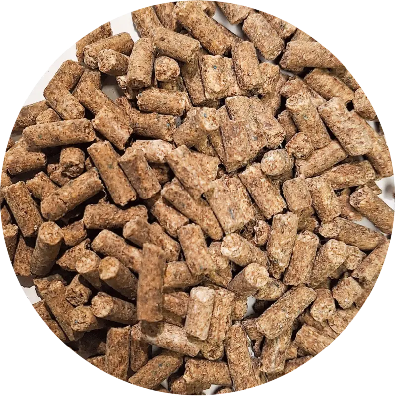 Sofort Bestellen Pferdefutter MuscleMineral
