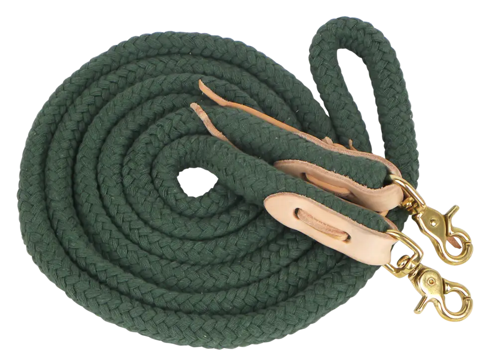 Direktkauf Zügel geschlossen, 3 m Länge, mit Lederadapter, Messingkarabiner