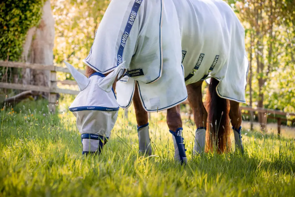Must-Have Horseware Rambo Protector Plus silver/navy, 140 cm