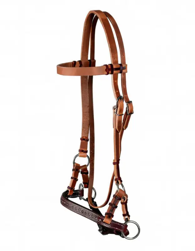Aktuell Sidepull mit Muster