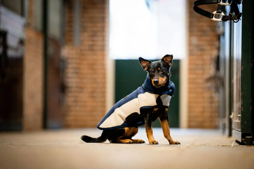 Neu Horseware Signature Dog Fleece whitney navy, XS
