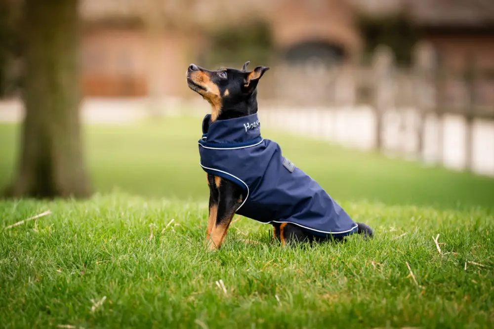 Neuheit Horseware Signature Dog Rain Coat navy, XL
