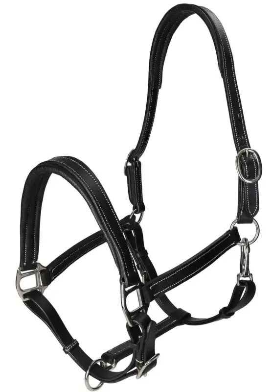 Top-Preis WAHL-Hausmarke TenderMe Lederhalfter schwarz/silber, Cob = Vollblut