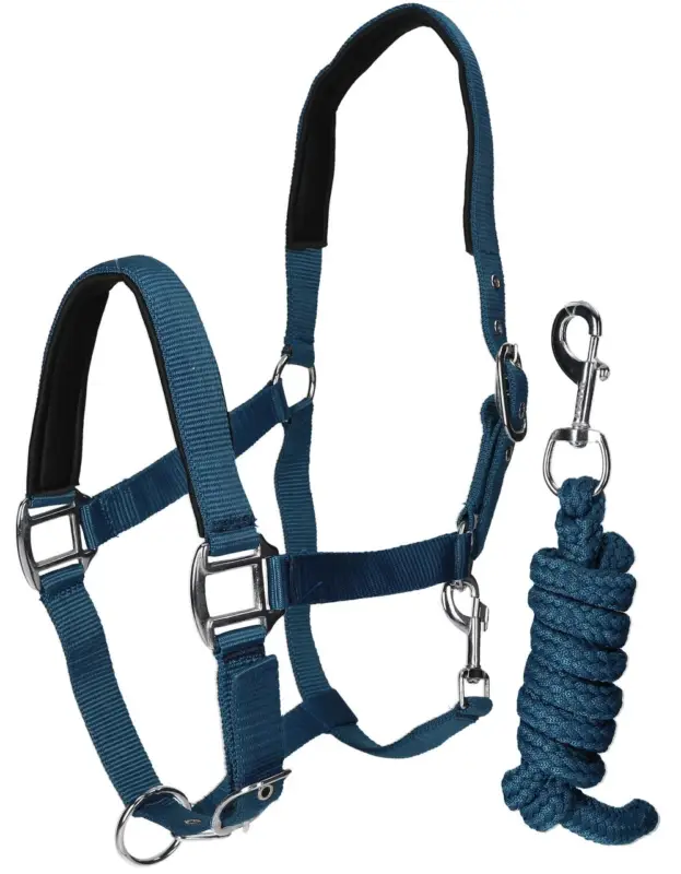 WAHL-Hausmarke Halfterset Basic petrol, Pony Top-Preis
