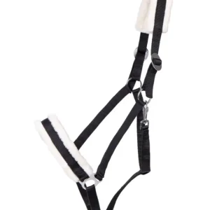 Sonderangebot Q-Essentials Halfter Cali Kaltblut schwarz, XX-Full