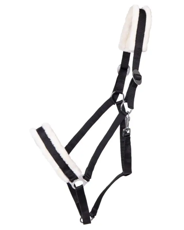 Sonderangebot Q-Essentials Halfter Cali Kaltblut schwarz, XX-Full