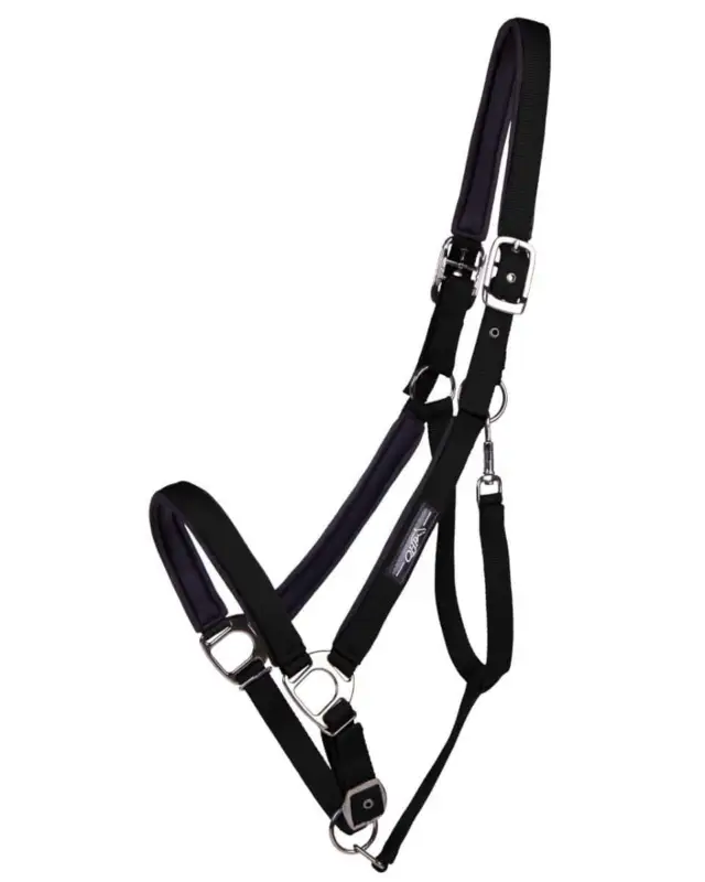QHP Halfter Deluxe Kaltblut schwarz, XX-Full Begrenztes Angebot