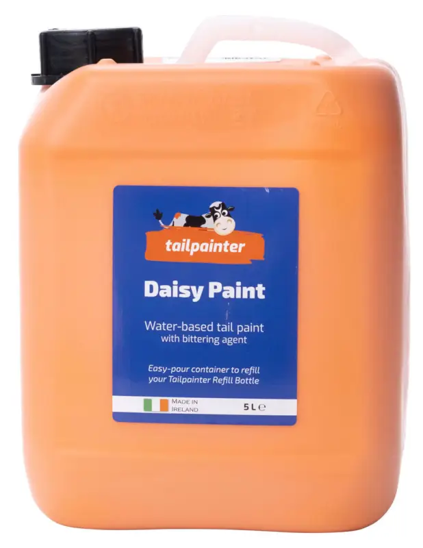 Brunsterkennungsfarbe Daisy Paint orange, 5 l Top-Seller